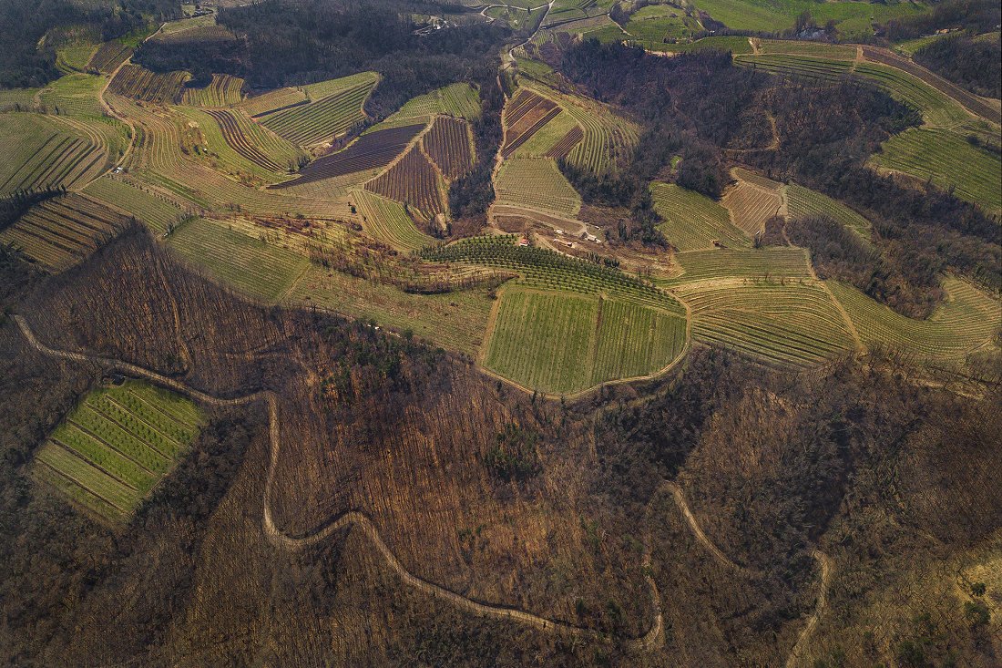 Avtor fotografije: Miran Krapež 